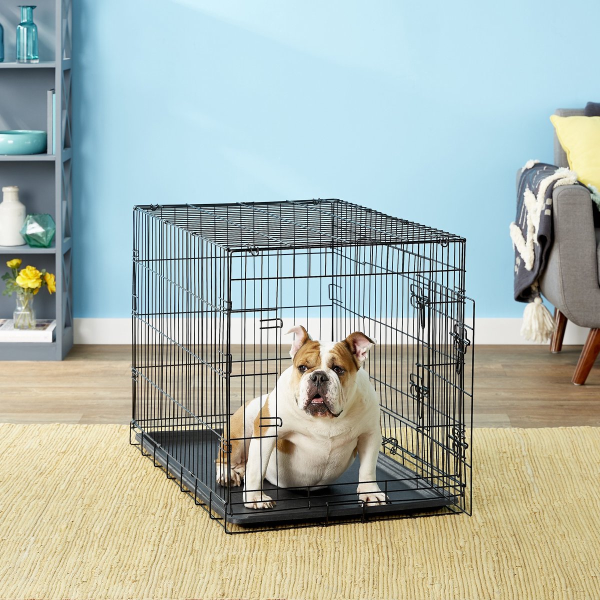 Foldable Dog Crate Kennel Double Door with Removable Tray for Small