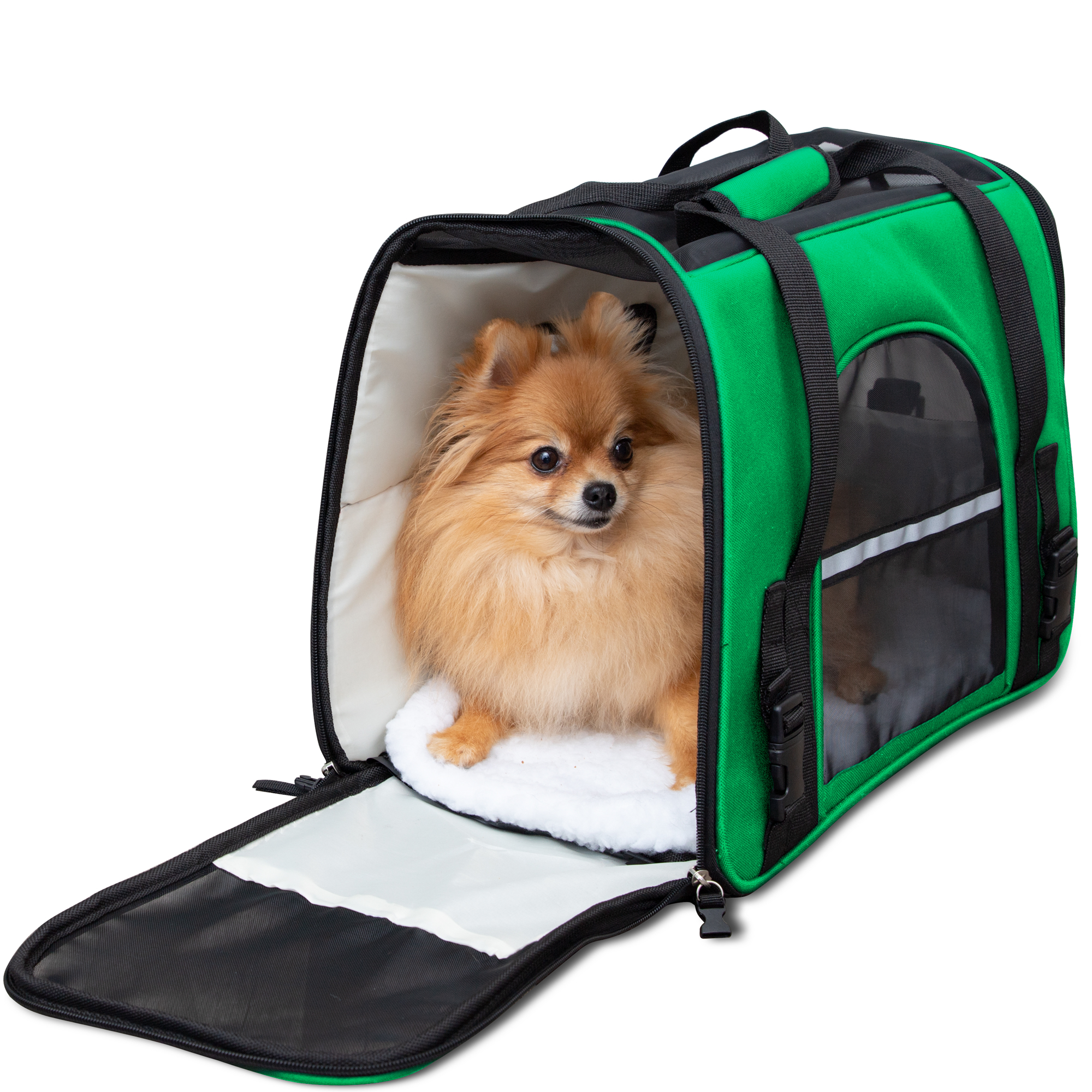 Paws & Pals Pet Carrier Airline Approved SoftSided Dogs Cats Kitten