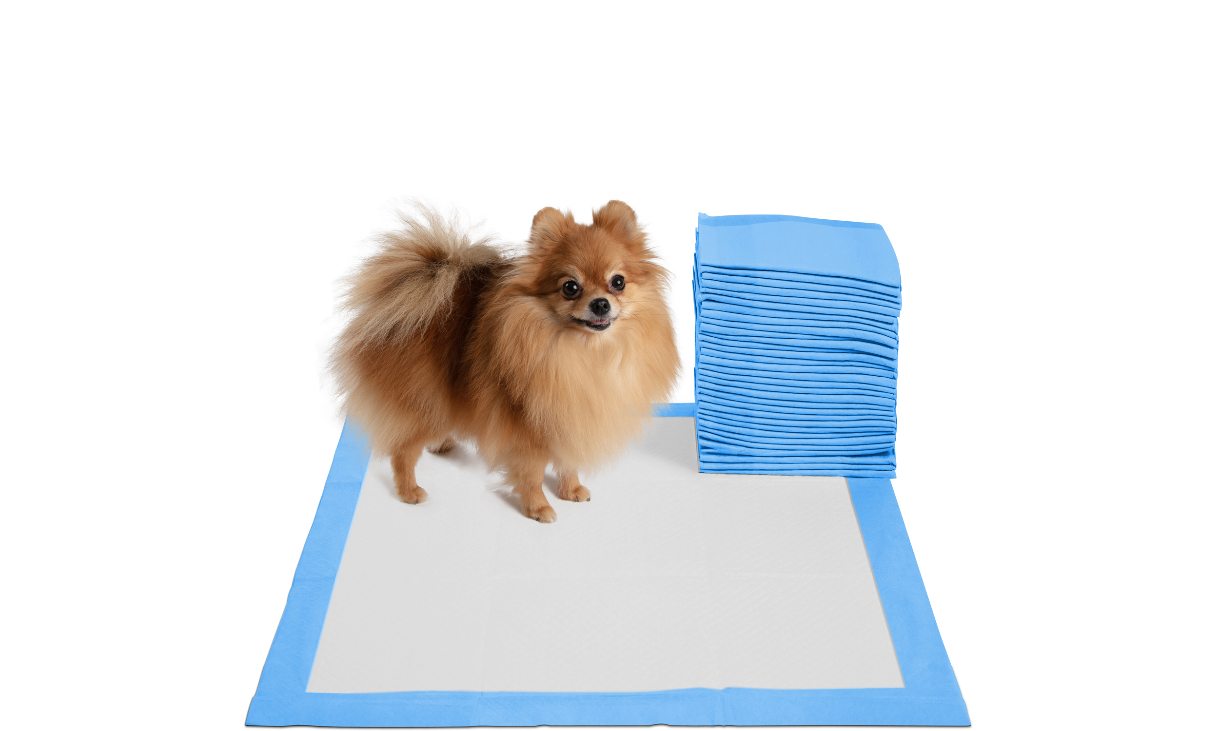 Paws & Pals Pet Puppy Training Pads Durable 5Layer LeakProof Pee Pads