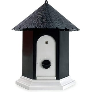 Petsafe birdhouse camera hotsell