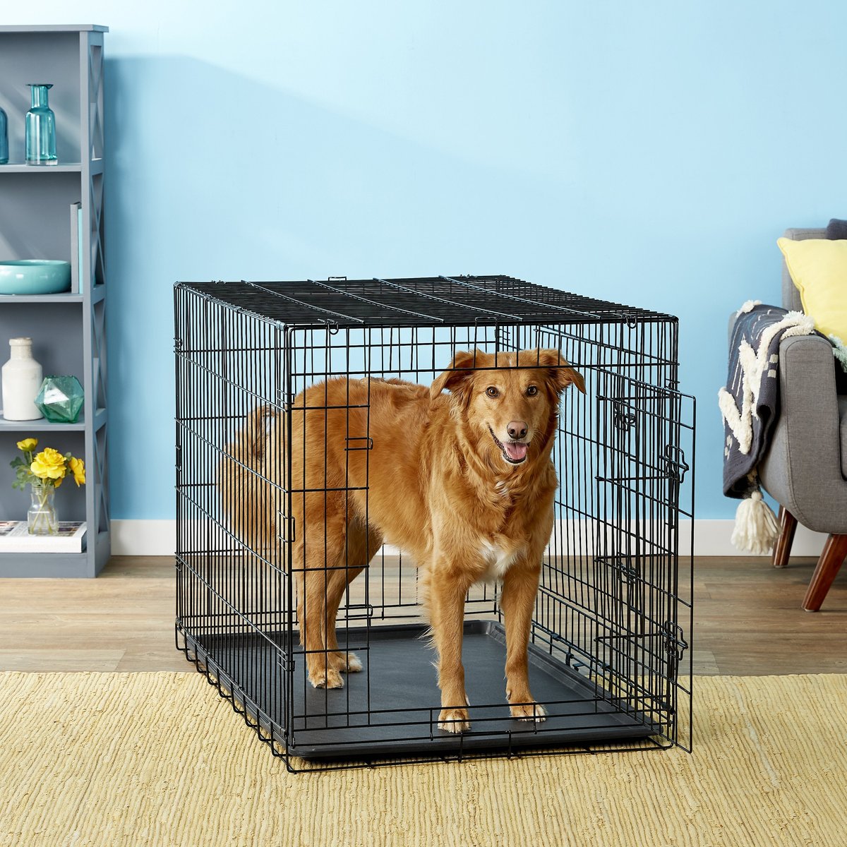 Paws & Pals Wire Dog Crate with Tray Double Door (42-inch) (XL) - image 1 of 12