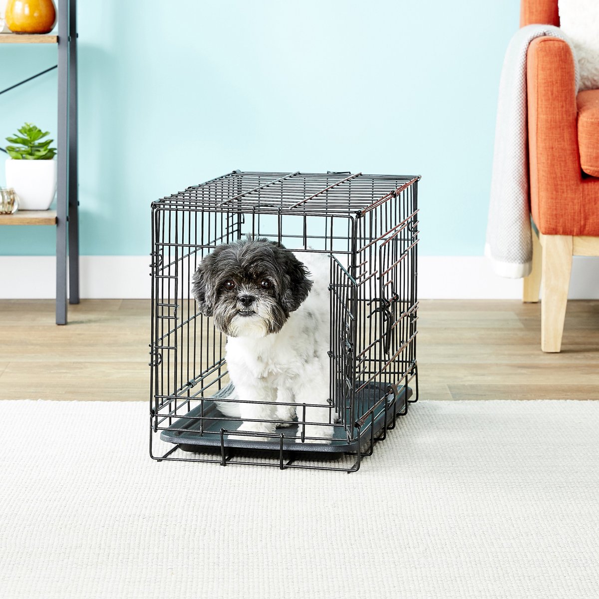 KennelMaster Double Door Folding Wire Dog Crate, Black, XSmall, 24"L