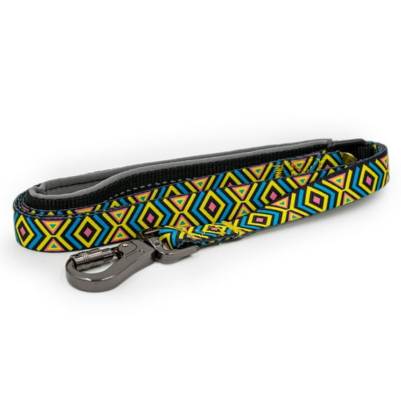 Paws and Pups Durable 6ft Nylon Dog Leash with neoprene padded handle - Aztec (1" width)