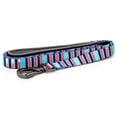 thumbnail image 1 of Paws and Pups Durable 6ft Nylon Dog Leash with neoprene padded handle - Baby Blue/Pink Stripes (1" width), 1 of 1