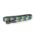 thumbnail image 1 of Paws and Pups Durable 6ft Nylon Dog Leash with neoprene padded handle - Rainbow Stripes (1" width), 1 of 1