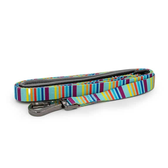 Paws and Pups Durable 6ft Nylon Dog Leash with neoprene padded handle - Rainbow Stripes (5/8" width)