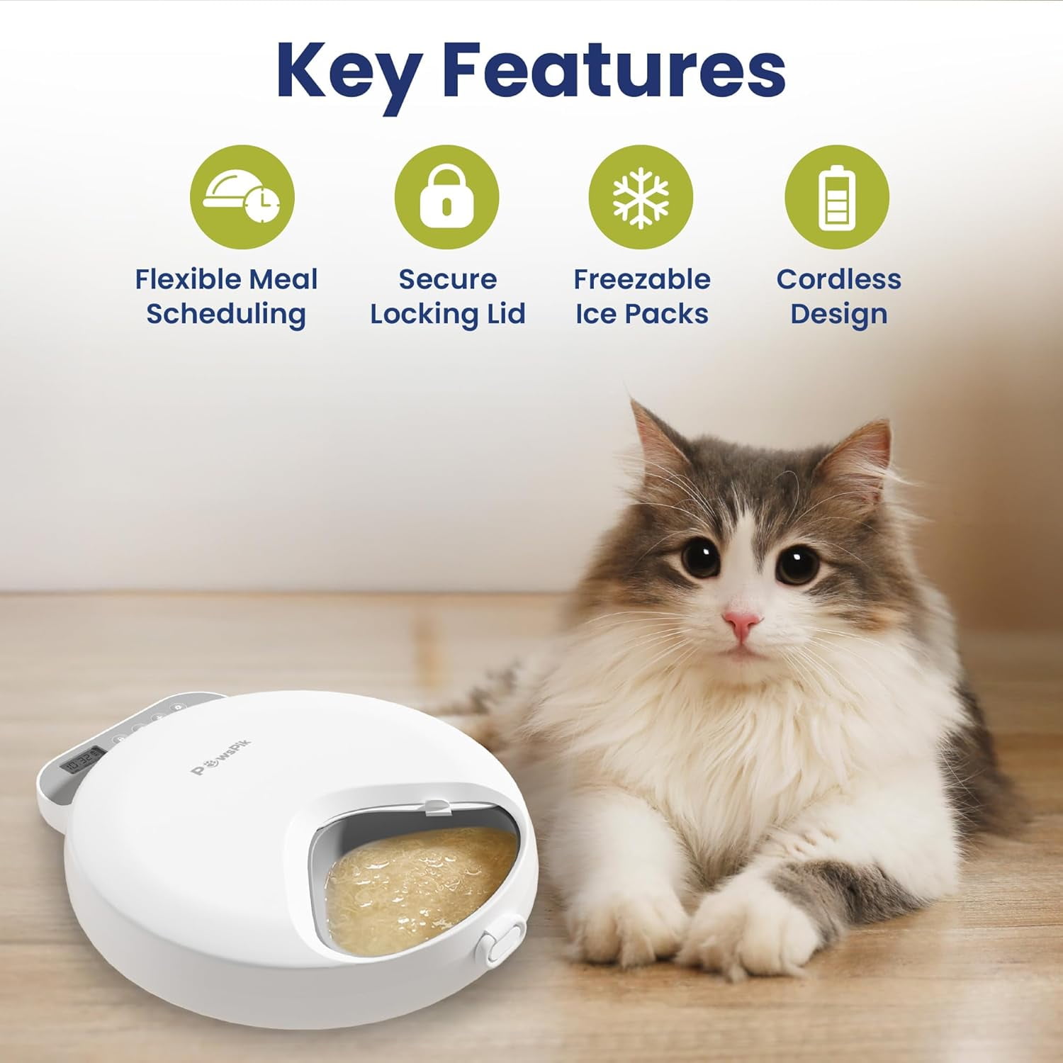 Neater Pet Neater Feeder Deluxe Dog