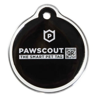 Walmart cat tags shop