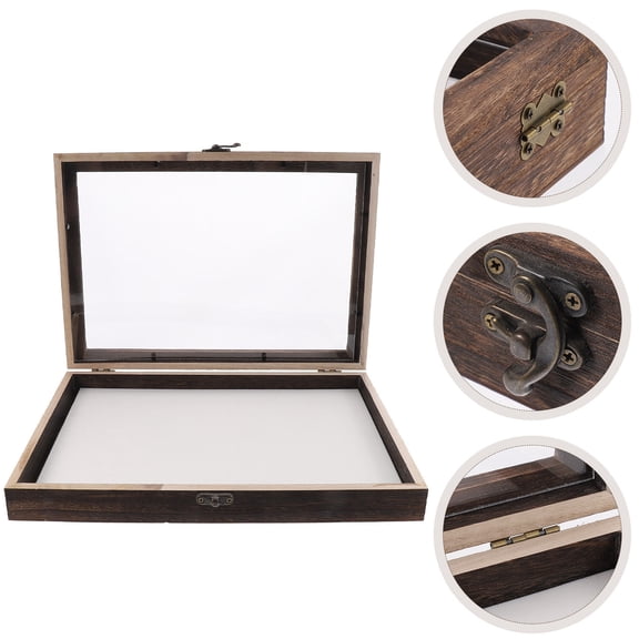 Pawsdot Insect Shadow Box Assorted Color Wooden Clear Top Display Case for Home