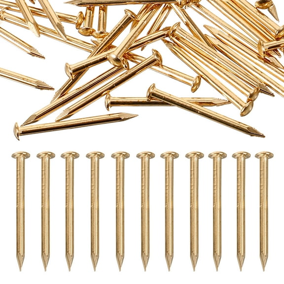 Pawsdot 100pcs Small Nails for Craft Projects with Antique Style Brass Nails