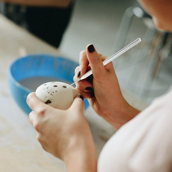 Pawsdot 10Pcs Sculpture Tools Stainless Steel Clay Needles for Detailed Artwork