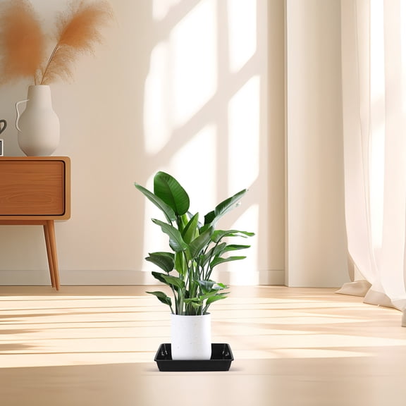 Pawsdot 12Pcs Black Flower Basin Tray Plastic Water Holder for Home Gardening