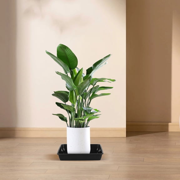 Pawsdot 12Pcs Plant Saucer for Outdoors