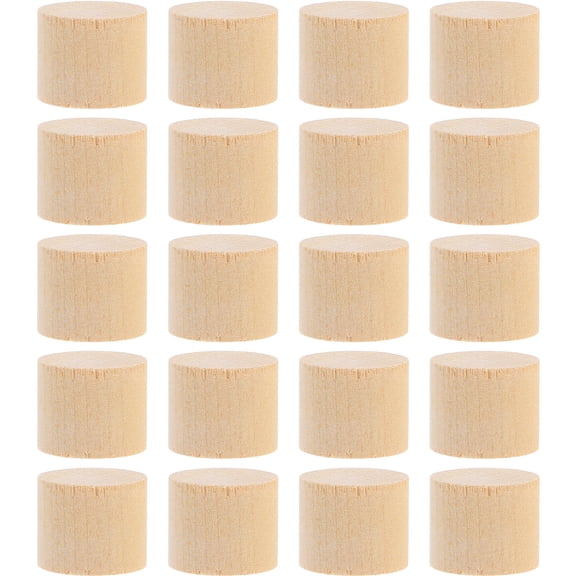 Pawsdot 20Pcs Small Wood Cylinder Blocks for Crafts Birch Wood Unfinished DIY Decorations