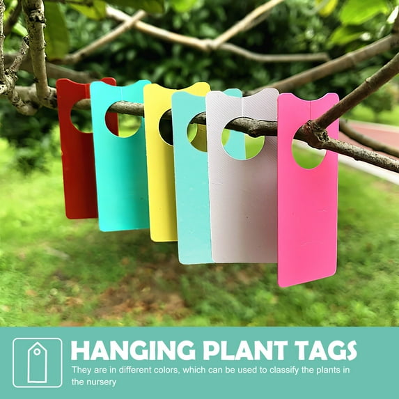 Pawsdot 500Pcs Plastic Hanging Plant Labels Ideal for Succulent and Vegetable Classification in Garden Use