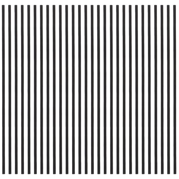 Pawsdot Black Fiber Oil Diffuser Sticks No-Flame Aromatherapy for Home 60Pcs