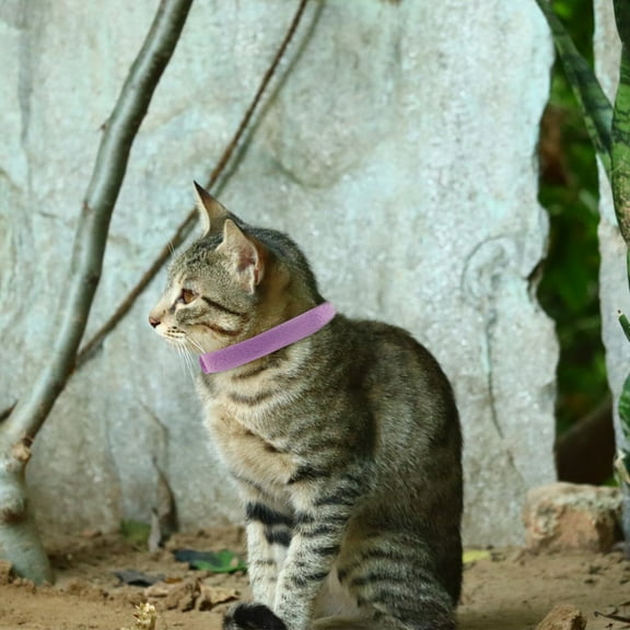 Pawsdot Identification Bands for Dogs Adjustable Band Collar Assorted Color 12Set