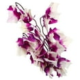 thumbnail image 1 of Pawsdot Artificial Lizards Plants Simulation Plant Purple Resin Fish Tank Decoration 1Pcs, 1 of 6
