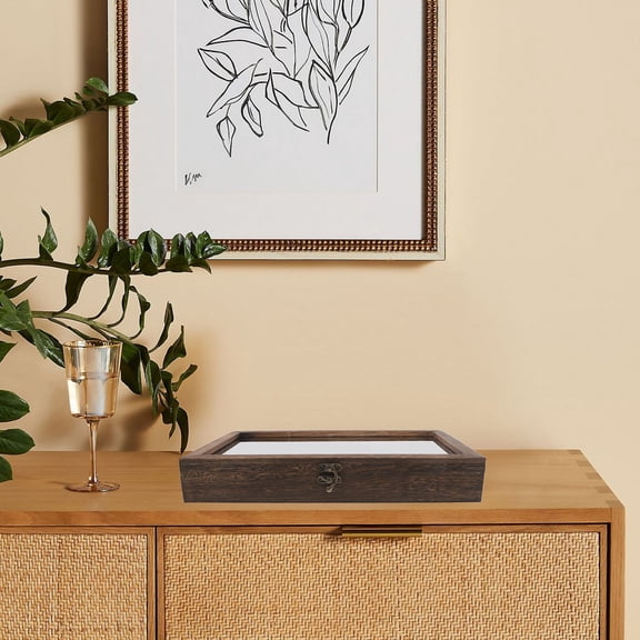 Pawsdot Wooden Butterfly Display Box Shadow Frame for Insect Specimen Preservation