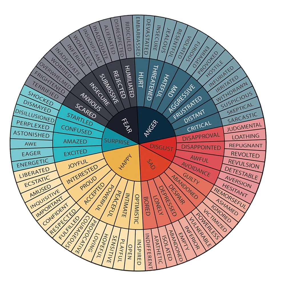 Pawsdot Emotional Pain Chart Poster Feelings Wheel Stickers Multi 1Pcs