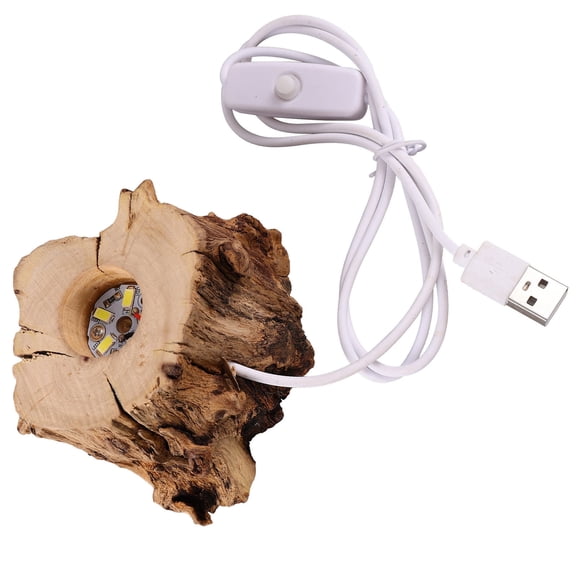 Pawsdot Natural Stump Shaped Wood LED Base Lighted Display Stand for Crystal Ball and Sphere