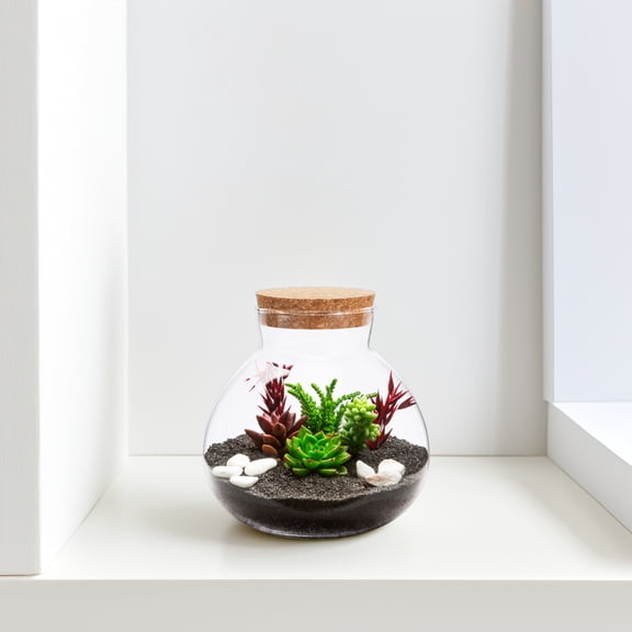 Pawsdot Glass Terrarium Bottle with Cork Lid for Micro Landscape and Home Decor Multi-Purpose Glass Container