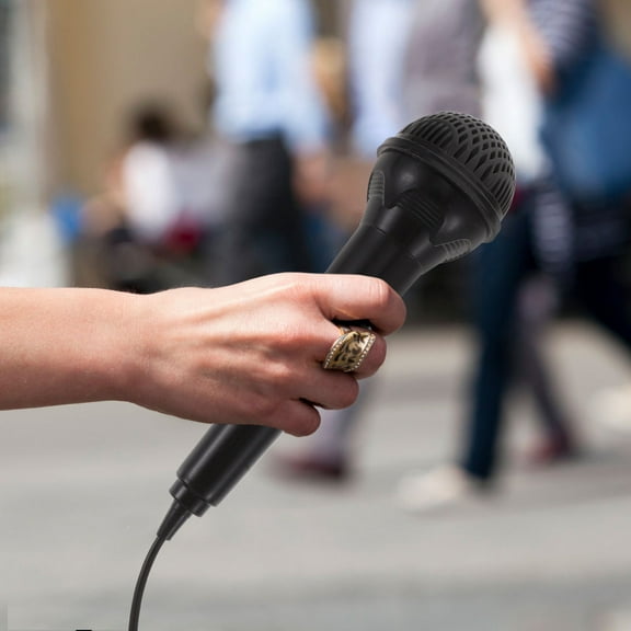 Pawsdot Handheld Microphone for Singing Electronic Keyboard Black Plastic Outdoor Use 1Set