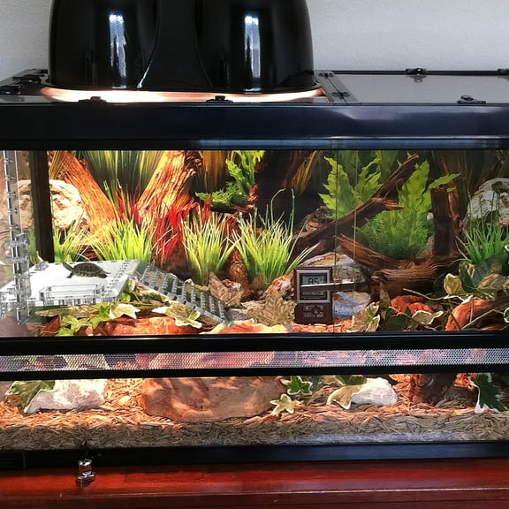 Pawsdot Clear Acrylic Turtle Basking Platform Easy Install for Pet Use