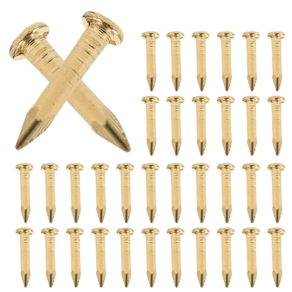 Pawsdot Golden Furniture Tacks Brass Nails for Upholstery and Decor 200Pcs