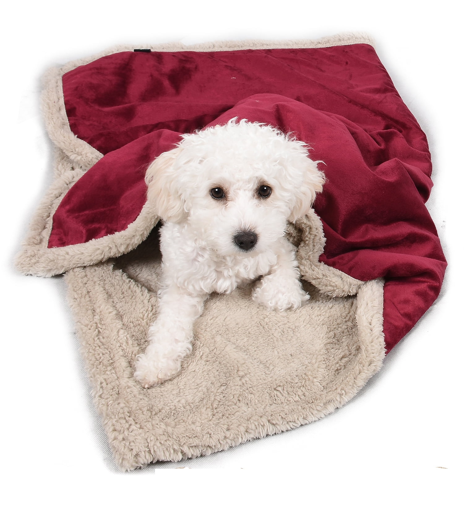 Pawsse Pet Blanket Super Soft Sherpa Cat Blanket Dog Blankets