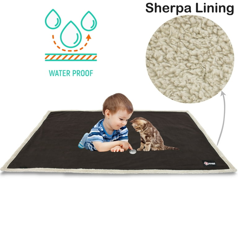 Wet outlet dog blanket