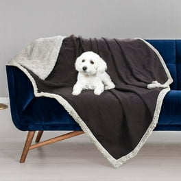 Dog Blankets for Large Dogs Super Soft Warm Sherpa Fleece Plush Doggie Blankets and Throws for Small Medium Puppy Doggy Pet Cats Walmart