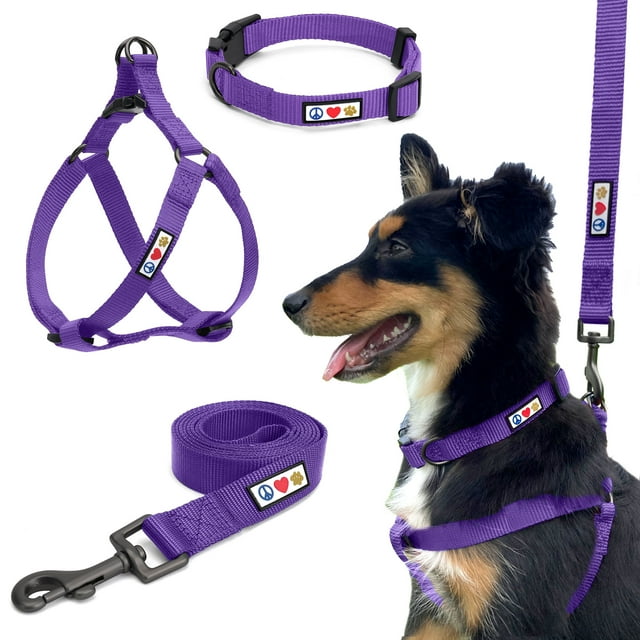 Pawtitas 3in1 Extra Small Dog Harness Dog Collar & Dog Leash For Extra Small Dogs Purple