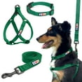 thumbnail image 1 of Pawtitas 3-in-1 Medium Dog Harness Dog Collar & Dog Leash For Medium Dogs - Lush Green Medium Dog Collar Harness Leash Set, 1 of 8