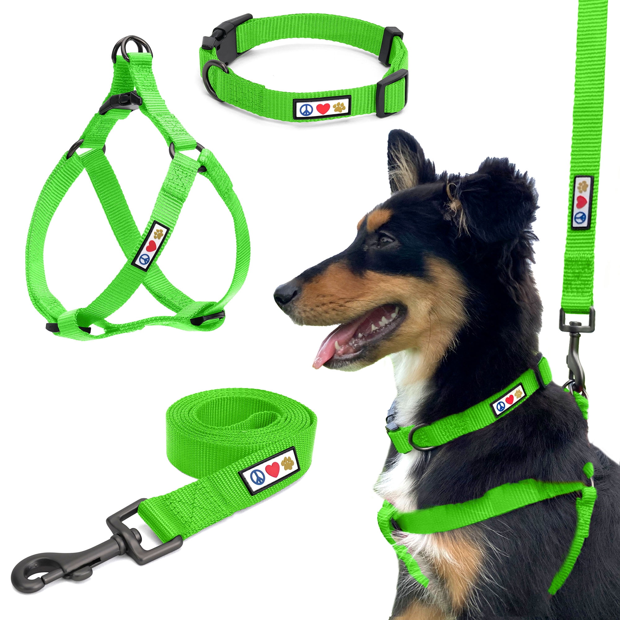 pet leash collar leash harness set