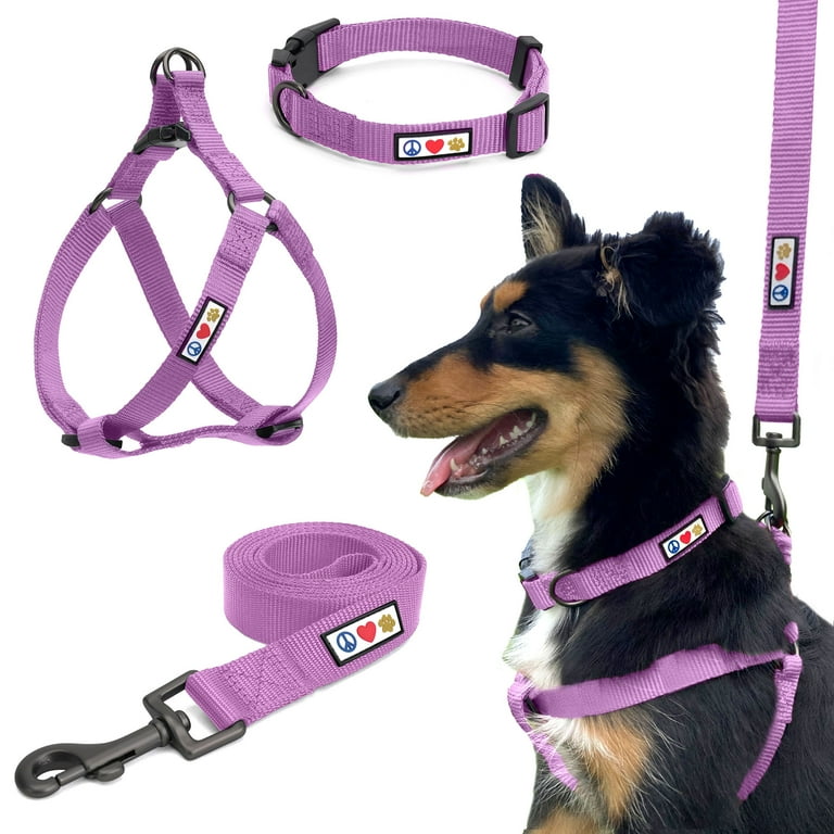 Pawtitas 3 in 1 Small Dog Harness Dog Collar Dog Leash For Small Dogs Orchid Small Dog Collar Harness Leash Set