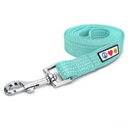 Pawtitas 6 FT Dog Leash Reflective Dog Leash Dog Training Leash Puppy Leash Large Dog Teal Leash