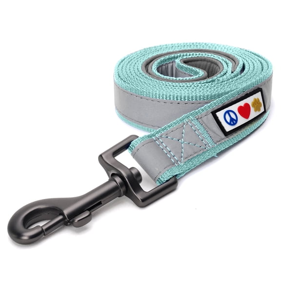 Pawtitas 6 FT Reflective Dog Leash Padded Handle - Teal Leash for Small Dogs and Puppies.