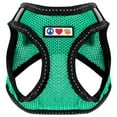 thumbnail image 1 of Pawtitas Adjustable Mesh Reflective Dog Harness L Aquamarine, 1 of 9