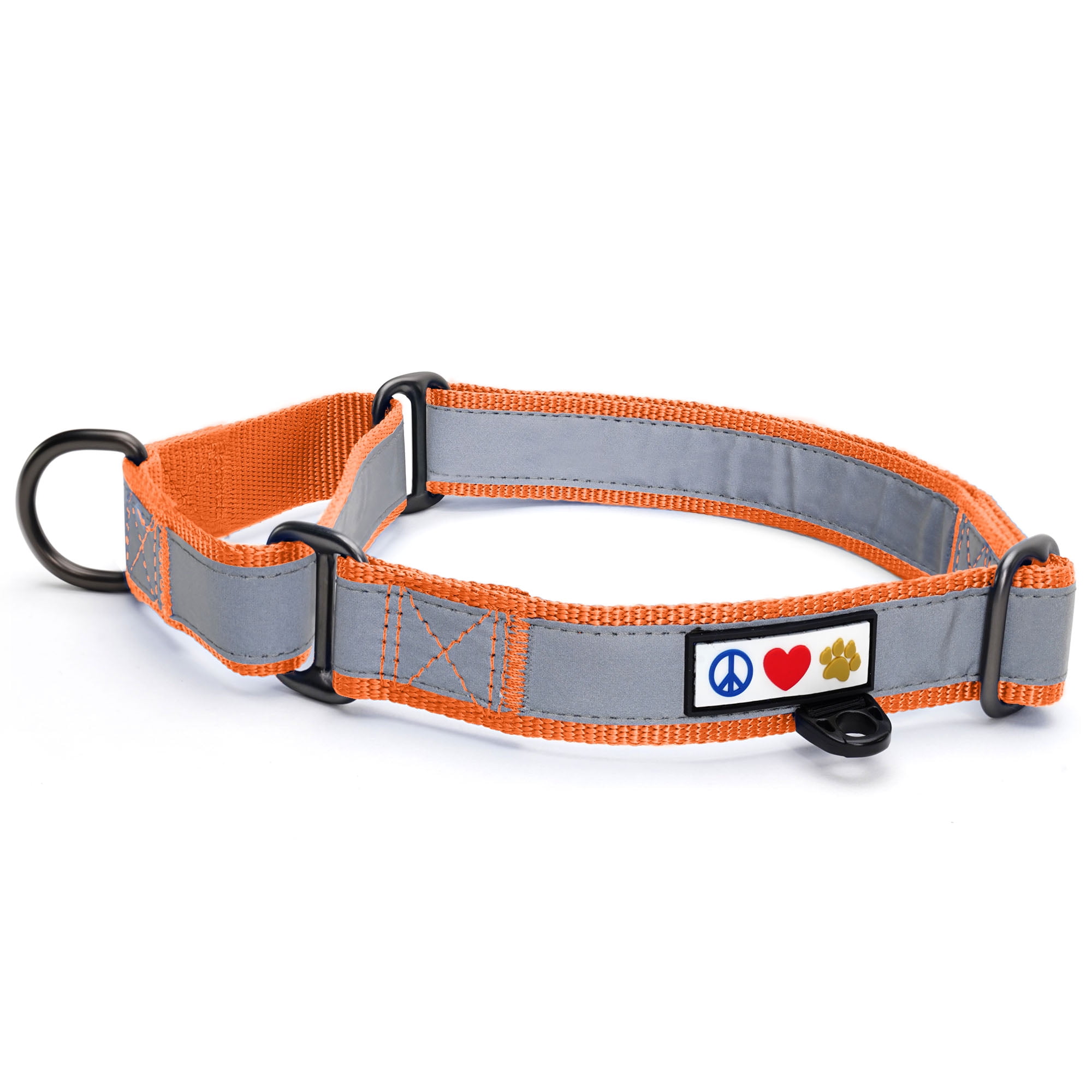 Reflective Martingale Training Dog Collar by Pawtitas