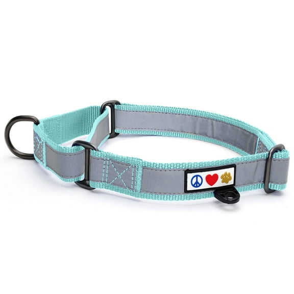 Pawtitas Martingale Dog Collar Puppy Collar Reflective Dog Collar Training Dog Collar Dog Collar Small Dog Collar Teal Dog Collar
