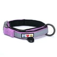 thumbnail image 1 of Pawtitas Martingale Padded Reflective Dog Collar Lumberjack Dog Collar Extra Small Orchid, 1 of 10