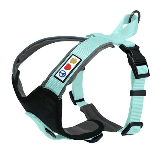 Pawtitas Padded Reflective Dog Harness Extra Extra Small Teal Dog Harness