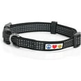 thumbnail image 1 of Pawtitas Reflective Dog Collar Adjustable for Extra Small Dogs - Black Collar, 1 of 9