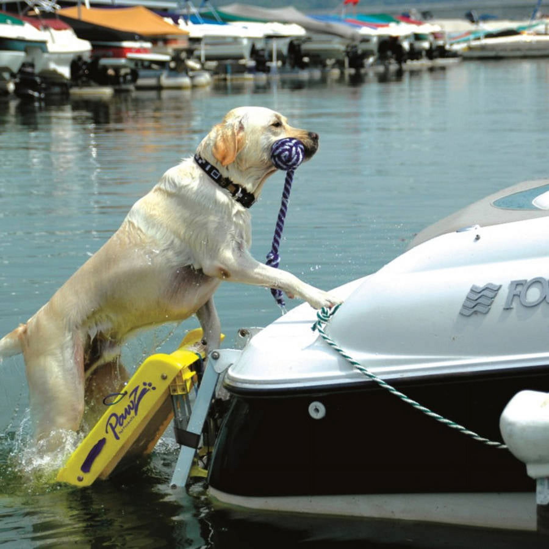 Pawz Pet Products Dog Boat Ladder, Yellow, 64 x 16