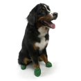 thumbnail image 1 of Pawz Protex Natural Rubber Waterproof Dog Boots (Size Options), 1 of 8