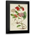 thumbnail image 1 of Paxton 11x14 Black Modern Framed Museum Art Print Titled - Paxton Botanical Pairing III, 1 of 5