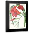 thumbnail image 1 of Paxton 11x14 Black Modern Framed Museum Art Print Titled - Paxton Tropicals V, 1 of 5