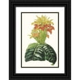 thumbnail image 1 of Paxton  11x14 Black Ornate Wood Framed with Double Matting Museum Art Print Titled - Paxton Tropicals III, 1 of 4
