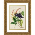 thumbnail image 1 of Paxton  11x14 Gold Ornate Wood Framed with Double Matting Museum Art Print Titled - Paxton Botanical Pairing IV, 1 of 4